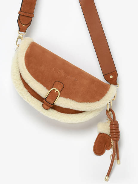 Sac Bandoulière Alpin Etrier Marron alpin EALP050S vue secondaire 2